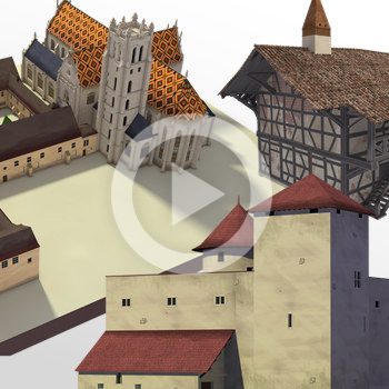 Film institutionnel relief sans lunettes – Parc des oiseaux