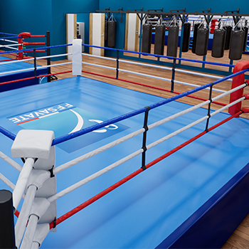 Équipements de Salles d&rsquo;Entraînement