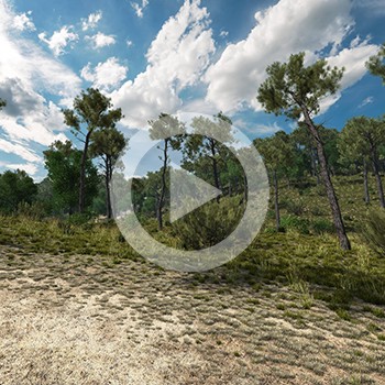 Réalisation d’animation 3D – ONF