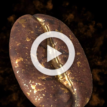 Contenu pour un hologramme hélice – Doohit