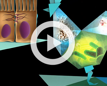 Présentation d&rsquo;une solution petfood en hologramme – Adisseo