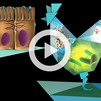 Présentation d&rsquo;une solution petfood en hologramme – Adisseo