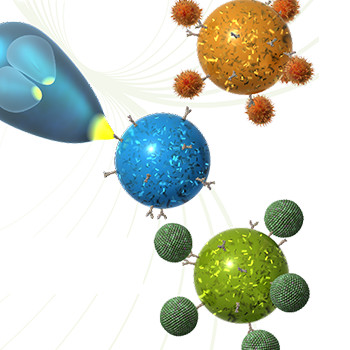 Illustrations médicales – Magnisense